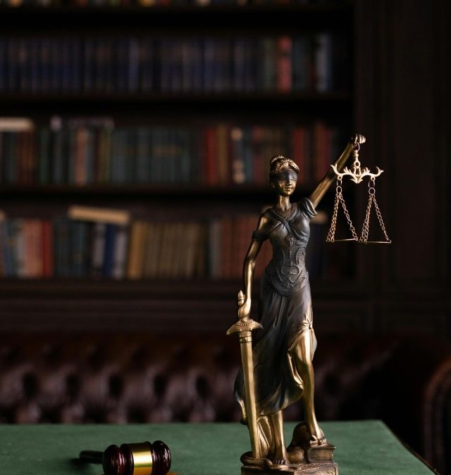 De rol van rechtbanken en gerechtelijke procedures bij het interpreteren en toepassen van de wet